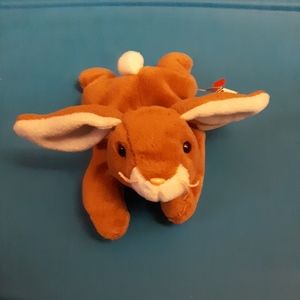Ears ty beanie baby